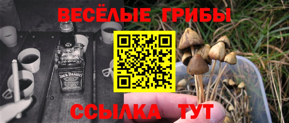 Псилоцибиновые грибы Psilocybine cubensis Красный Сулин