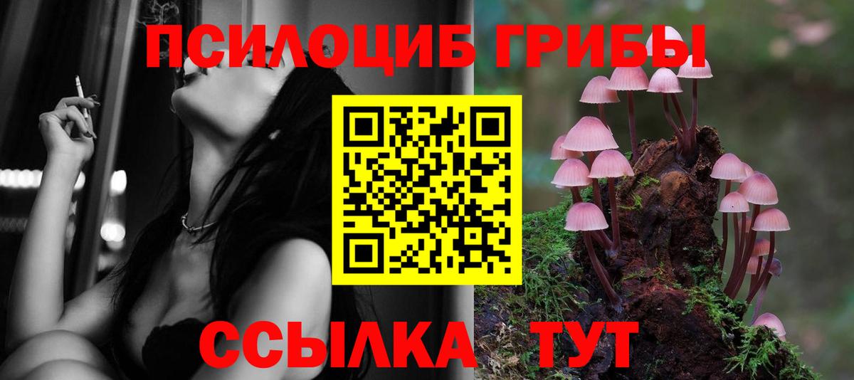 Галлюциногенные грибы GOLDEN TEACHER  Вход с VPN  Красный Сулин 